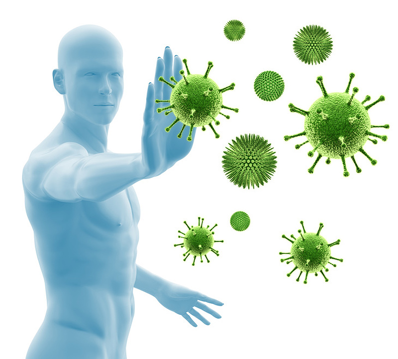 Le diagnostic des parasites sotchi
