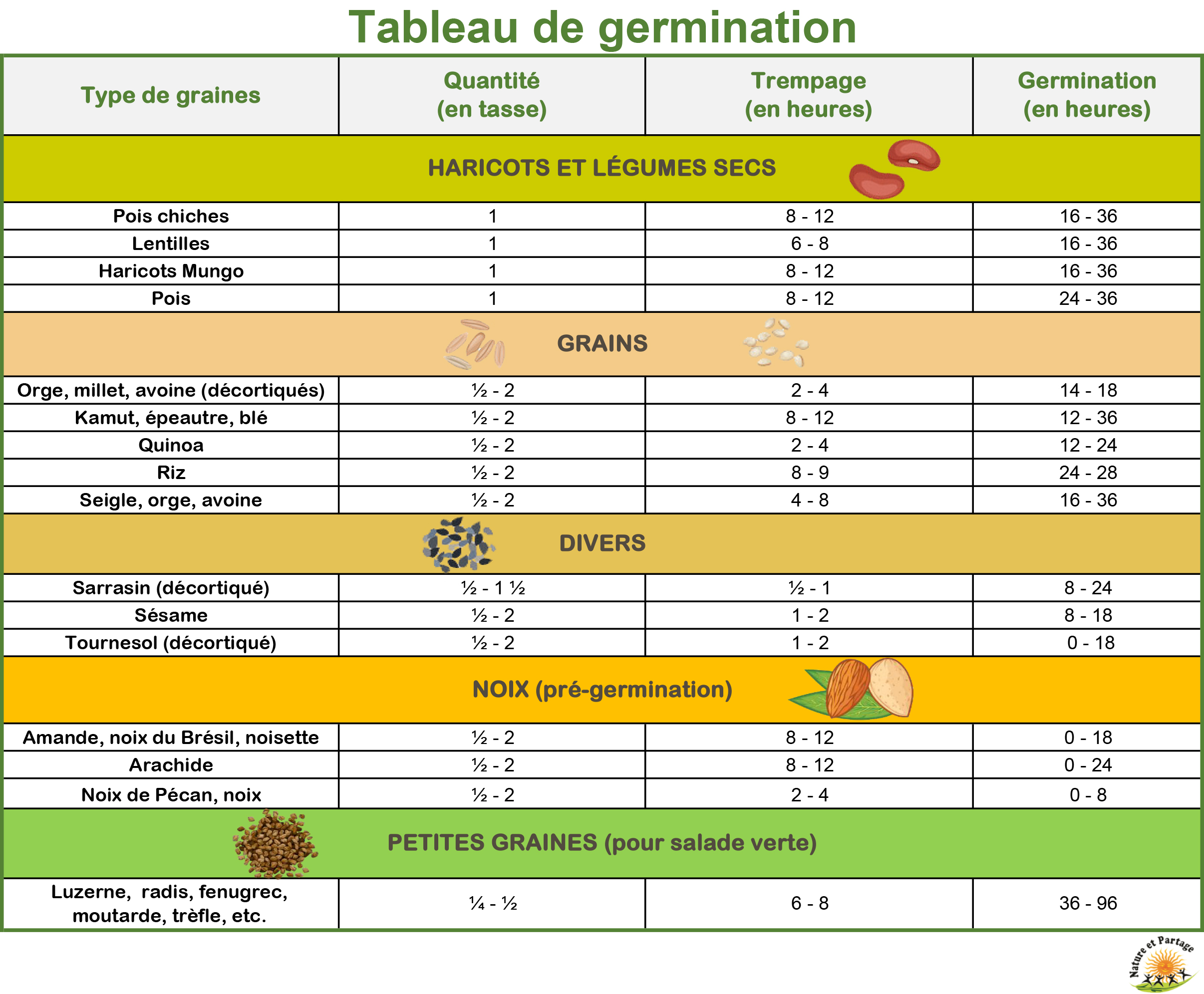 Alimentation : les graines germées, des shots de nutriments